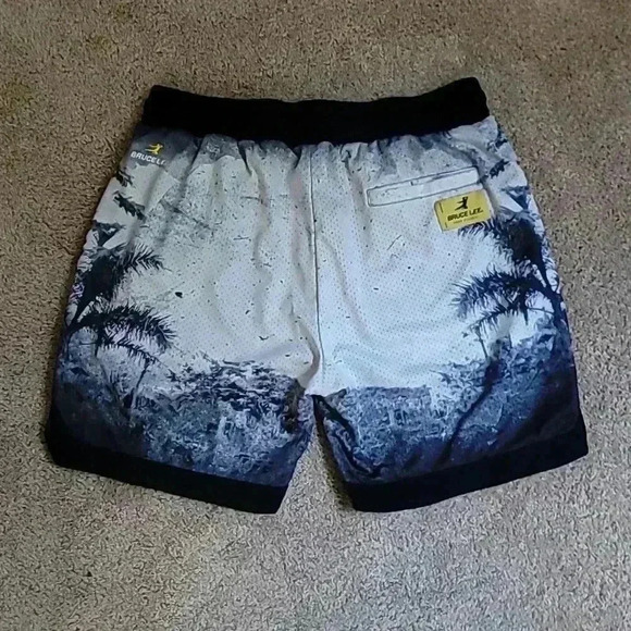 Shoe Palace Bruce Lee Collection Mesh Shorts - Picture 4 of 4